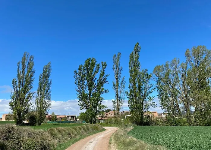 Duplex Les Coromines Διαμέρισμα